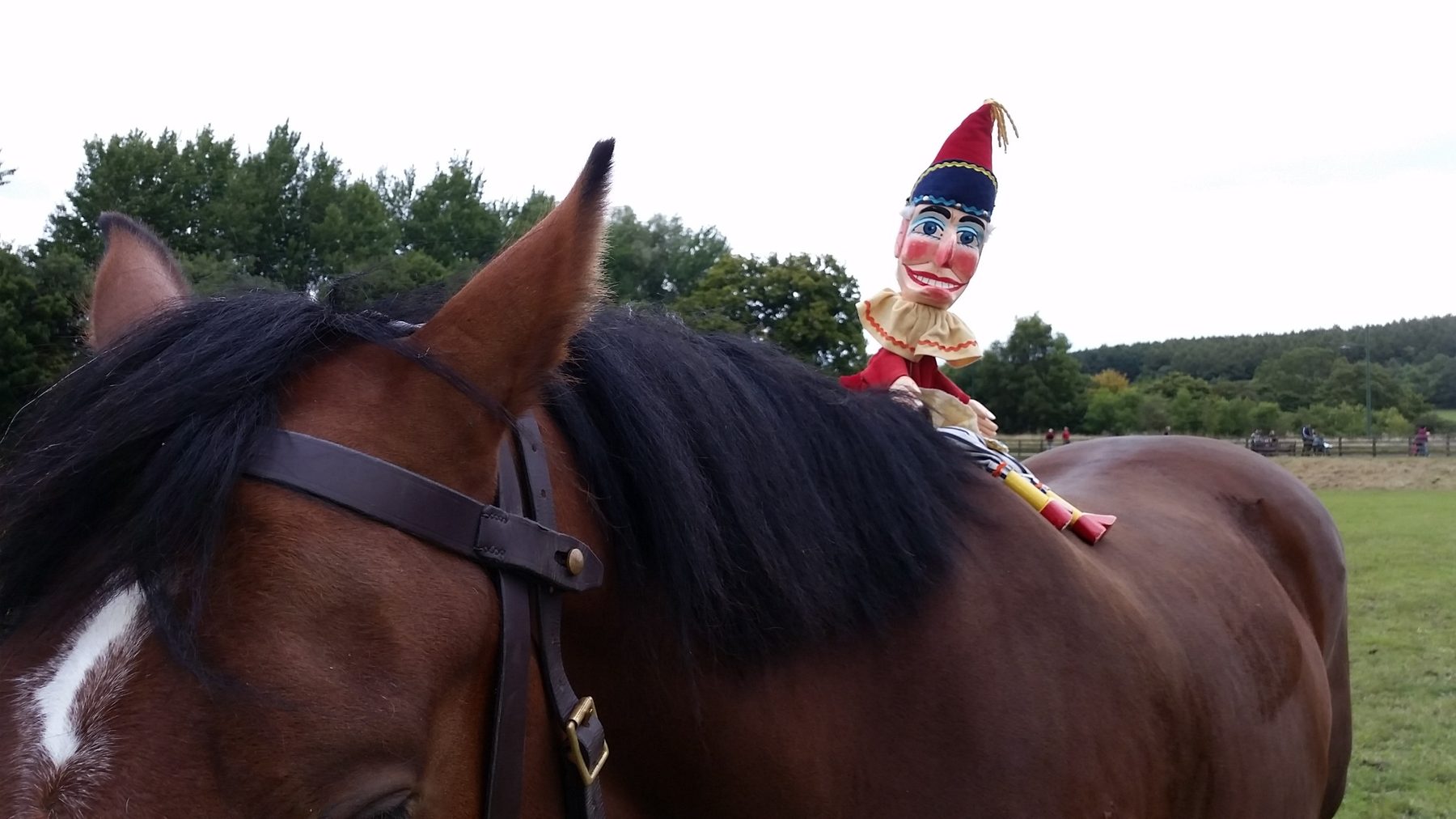 Mr Punch meeting a horse at the Beamish Agricultural Show in September 2015