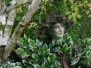 Stilt Walker | Tree Costume