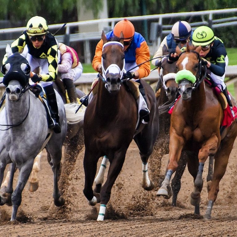 Horse Racing
